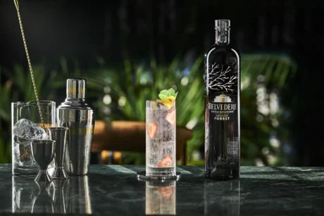 Belvedere Vodka Smogóry Forest Single Estate — Polska wódka, butelka 700 ml, drink, beautyshot